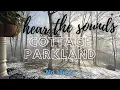 Download Lagu Sounds from the Cottage | Parkland Rain/Snow Early Morning at the Country Cottage ASMR NO MUSIC