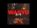 Mauvais Djo (Triangle Des Bermudes) - Wagyu (Audio Officiel)