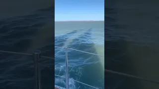 Shadows ⛵️