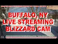 Blistering Temps Above 90 with Occasional Thunderstorms - 2024 Blizzard Cam