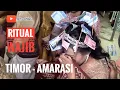 Download Lagu Ritual Wajib Orang Timor \
