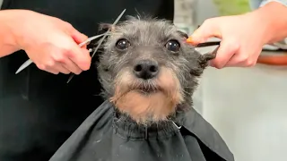 yo saliendo de la barbería: