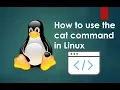 Linux - How to use the cat command
