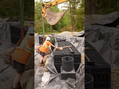 the secret to a swim pond