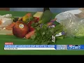Olmsted County launches food scrap drop-off pilot program