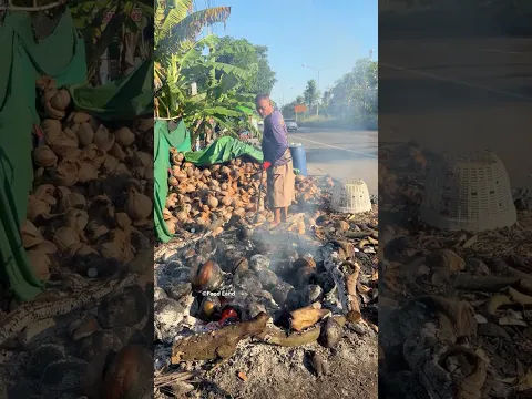 How Roasted Coconuts Are Made in Thailand!