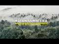 Lagu HUTAN SUMATERA : HUTAN KHATULISTIWA YANG TERLUKA