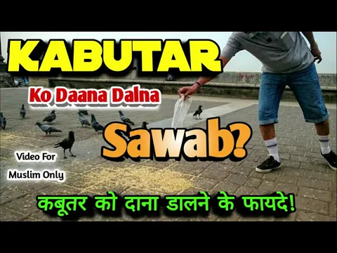 Nabi Ka Farman | Kya Kabutar Parindo Ko Dana Pani Bajra Dalna Sawab Hai | पक्षी को दाना Khilana कैसा