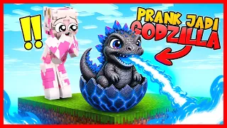 ATUN PRANK MOMON JADI TELUR GODZILLA DI ONE CHUNK !! Feat @sapipurba Minecraft