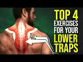 Top 4 Lower Trapezius Exercises for Better Shoulder Posture Function
