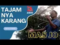 Download Lagu TAJAMNYA KARANG - MAS JO || DA NADA - DA AUDIO