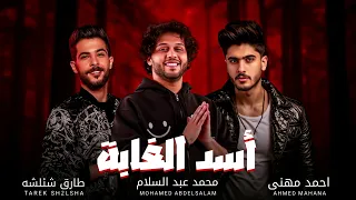 موال اسد الغابة احمد مهنى و طارق شئلشة و العالمى محمد عبسلام هيرقص كل افراح مصر 2025 