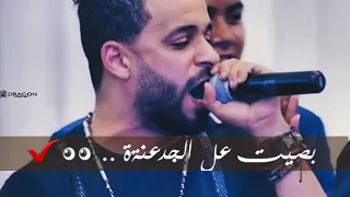 حالة زيزو النوبي الأسد و الجمل    دندنها