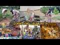 Download Lagu الحمد الله كليت من الخير ديال الجردة ديالي 😍 وطيبت هاد الحوت العجيب😱
