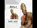Sili Mungubo