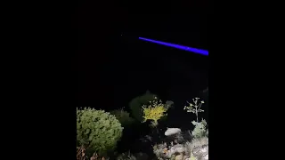 صيد السمن في الليل باستخدام الكاشف 