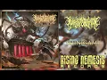 Download Lagu RUINS OF PERCEPTION - SHINIGAMI [FULL ALBUM] (SYMPHONIC BLACKENED SLAMMMING DEATHCORE)