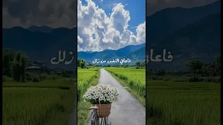 طريق رضاك متجهي حالات واتس 