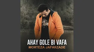 Ahay Gole Bi Vafa 