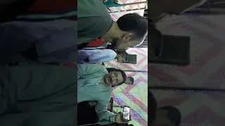 افراح اولادبهيج مع فرقه الريس عنتر السوهاجى 1 