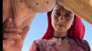 Desert life in Pakistan ||Traditional Life ||Village Life ||Camels people lifestyle in Pakistan 