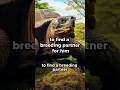 Download Lagu What Happened to LONESOME GEORGE?