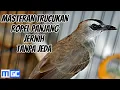 Download Lagu Suara Masteran Burung Trucukan Ropel Durasi Panjang Jernih Tanpa Jeda | Manuk Gacor Channel