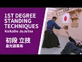 皇光道柔術初段 立技  KoKoDo JuJutsu 1st degree standing techniques (Shodan) , May 2020