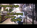 Download Lagu MASIH SAYANG ST-12 COVER BY TRI SUAKA