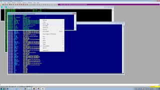 PE Shellcode Injection