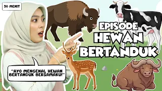 Belajar dan Bermain Episode Hewan Bertanduk - Mengenal Hewan Bertanduk, Lagu Interaktif untuk Balita