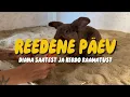Download Lagu Reede - Diana saade ja Kerdo raamat