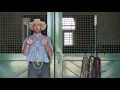 Rope Halters How to select the best halter for your horse