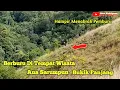 Lagu BERBURU B4B1 DI TEMPAT WISATA || TERNYATA NYARIS HAMPIR SAJA MEMAKAN KORB4N || AUA SARUMPUN