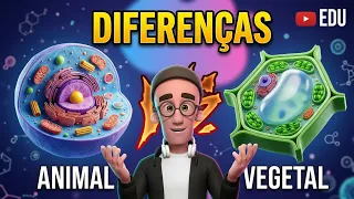 CÉLULA ANIMAL E CÉLULA VEGETAL - DIFERENÇAS | ANIMAÇÃO