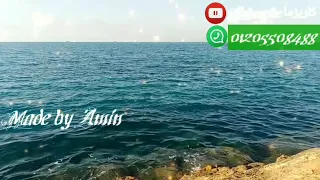 ريحه مطر بالكلمات عمر شعبان زياد جمال 