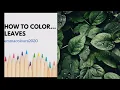 How to colour leaves - adult coloring tips