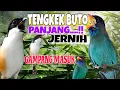 Download Lagu RAHASIA CETAK CENDET TEMBAKAN PANJANG!!! MASTERAN CENDET TERBAIK FULL TENGKEK BUTO PANJANG
