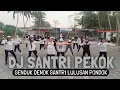 Download Lagu DJ SANTRI PEKOK_Genduk Denok Santri Lulusan Pondok|DJ Febri|Senam Kreasi|Joget Karnaval