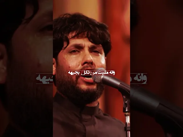 مالي ذنب // مرتضى حرب