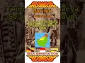 Download Lagu KALIMANTAN (Borneo):Tempat Bermulanya Sejarah Suku Kaum Dayak IBAN Yang Penuh Misteri. #iban #borneo