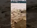 Extreme Flood Disaster Shocking Moments