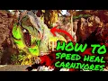 How To SPEED HEAL CARNIVORES on Ark Survival Ascended ASA Healing Trick