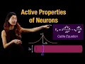 Active Properties of Neurons Responses to Current Cable Equation in Axon Conduction