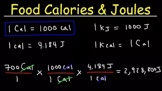 Joules Food Calories Kilojoules - Unit Conversion With Heat Energy