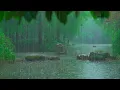 Lagu The beautiful little river is raining(313) , sleep, relax, meditate, ASMR, Real Shot
