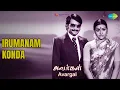 Lagu Irumanam Konda | Avargal | S.P. Balasubrahmanyam | Sadan Songs | Rajinikanth | Ravi Kumar