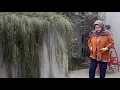 TEMARAM - FIERSA BESARI (COVER)