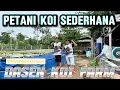Lagu koleksi baru dari petani idaman subcribe ‼️ petani koi sederhana