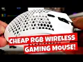 CHEAP RGB Wireless Gaming Mouse 15 Is It Any Good Ziyou Lang X3 Esports